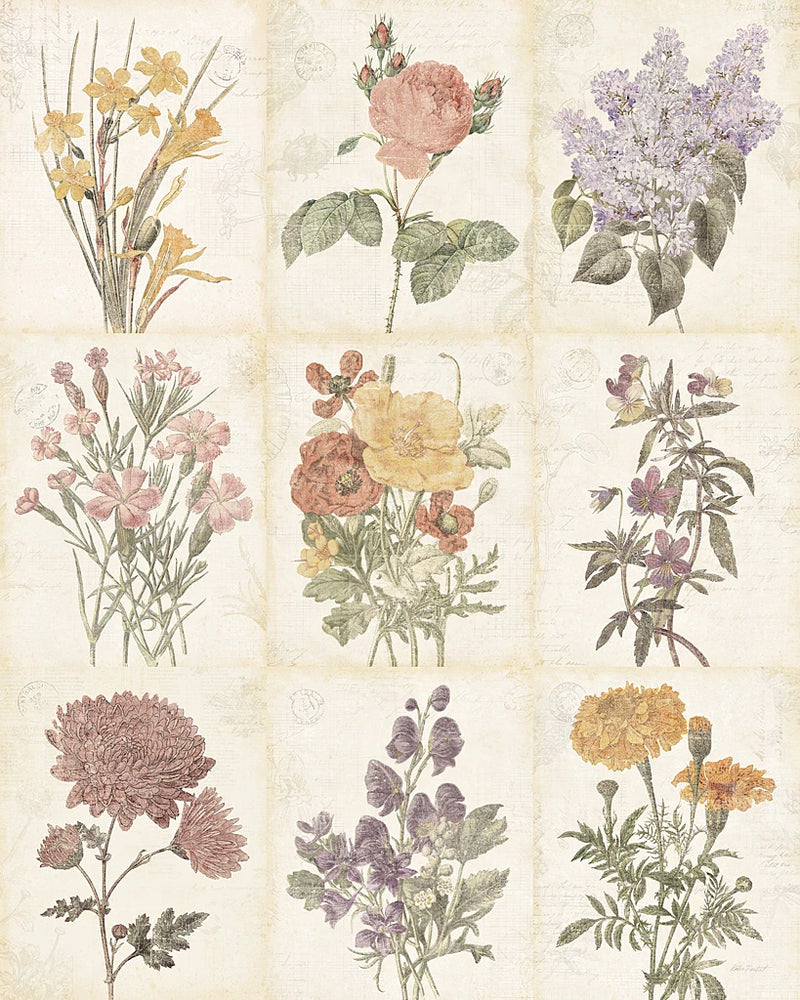 Flowers of the Month 9 Patch Vintage by Katie Pertiet
