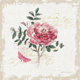 French Romance I Distressed by Katie Pertiet. SKU 30476a. Archival Giclee Fine art print for wall decor.