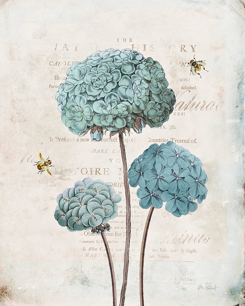 Geranium Study I by Katie Pertiet