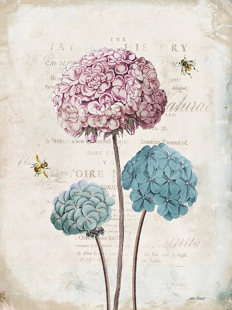 Geranium Study I Pink Flower by Katie Pertiet
