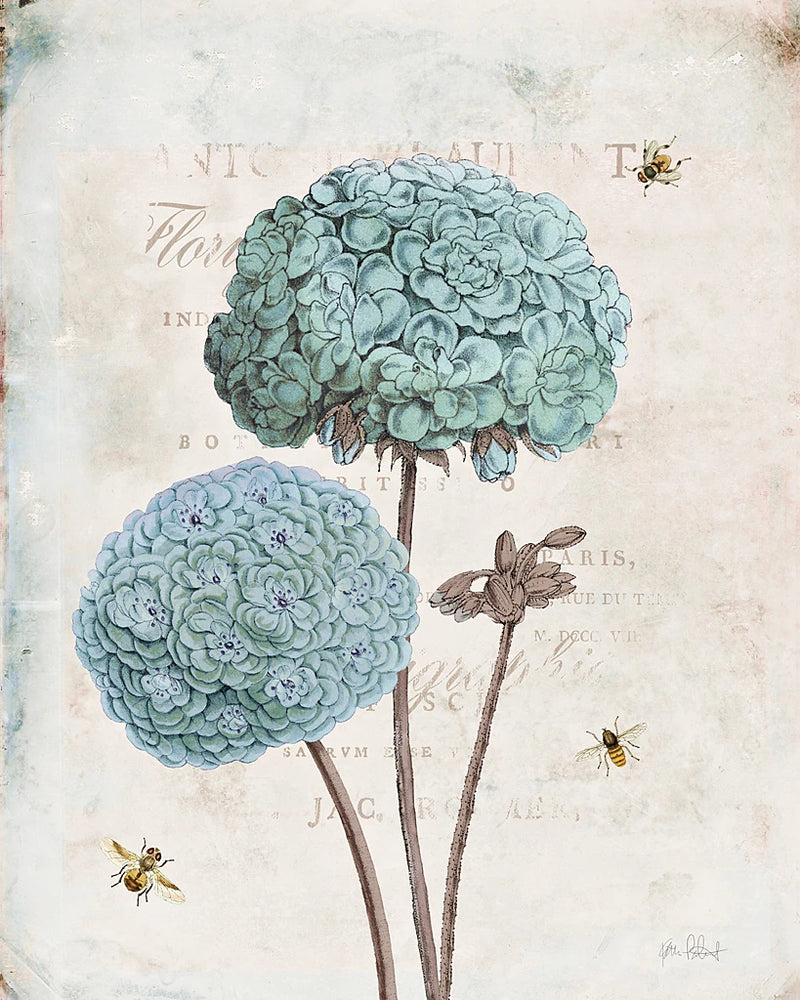 Geranium Study II by Katie Pertiet
