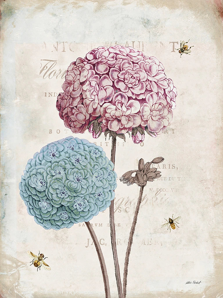 Geranium Study II Pink Flower by Katie Pertiet
