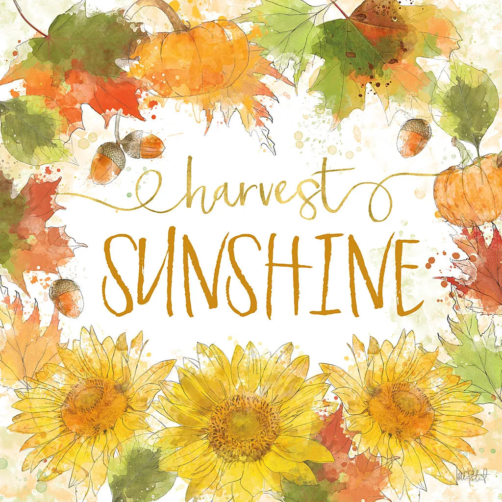 Harvest Splash III by Katie Pertiet. SKU 35216a. Archival Giclee Fine art print for wall decor.