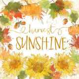 Harvest Splash III by Katie Pertiet. SKU 35216a. Archival Giclee Fine art print for wall decor.