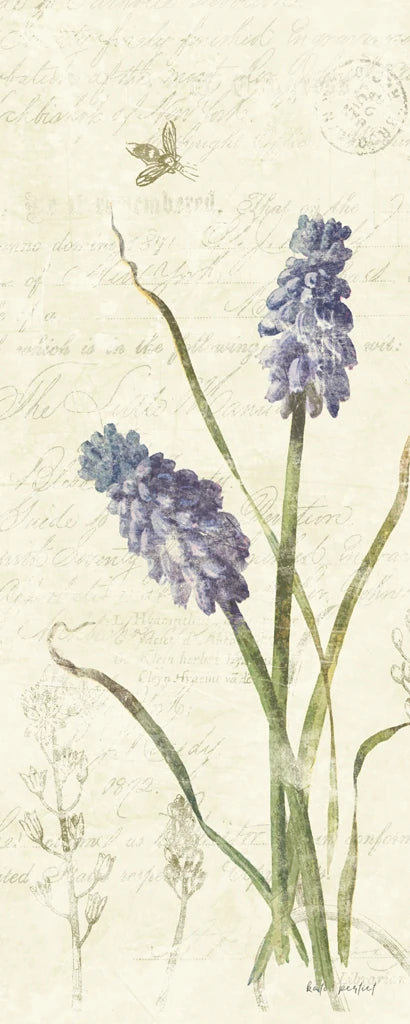 Hyacinth Panel by Katie Pertiet
