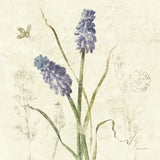 Hyacinth Square by Katie Pertiet. SKU 5984a. Archival Giclee Fine art print for wall decor.