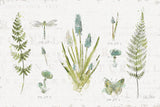 In the Forest I by Katie Pertiet. SKU 30270i. Archival Giclee Fine art print for wall decor.