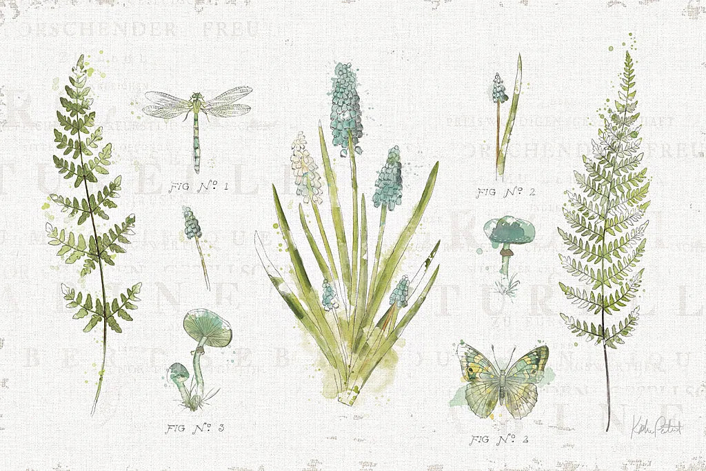 In the Forest I by Katie Pertiet. SKU 30270i. Archival Giclee Fine art print for wall decor.