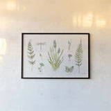In the Forest I by Katie Pertiet. shown as a paper print in a black flame. Available as a archival giclee rolled canvas, fine art paper, or poster print. SKU 30270i.