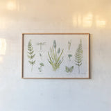 In the Forest I by Katie Pertiet. shown as a paper print in a natural frame. Available as a archival giclee rolled canvas, fine art paper, or poster print. SKU 30270i.