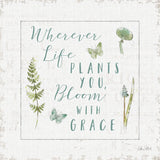 In the Forest IV Grace by Katie Pertiet. SKU 43895a. Archival Giclee Fine art print for wall decor.