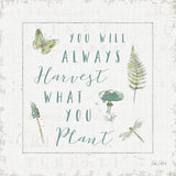 In the Forest V Harvest by Katie Pertiet. SKU 43896a. Archival Giclee Fine art print for wall decor.