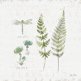 In the Forest VI by Katie Pertiet. SKU 30275a. Archival Giclee Fine art print for wall decor.