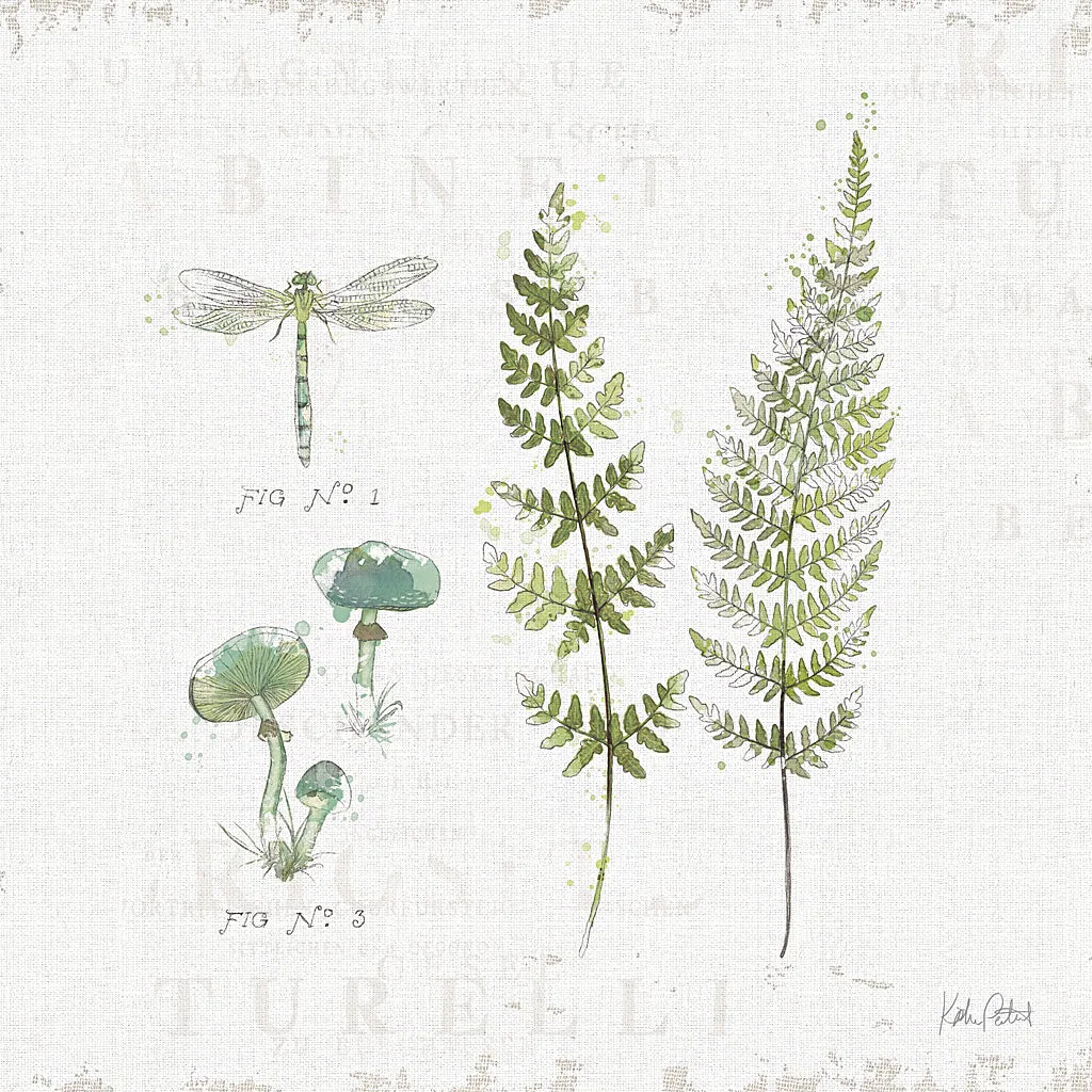 In the Forest VI by Katie Pertiet. SKU 30275a. Archival Giclee Fine art print for wall decor.