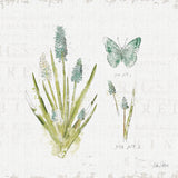 In the Forest VII by Katie Pertiet. SKU 30276a. Archival Giclee Fine art print for wall decor.