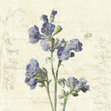 Jacobs Ladder Square by Katie Pertiet. SKU 5987a. Archival Giclee Fine art print for wall decor.