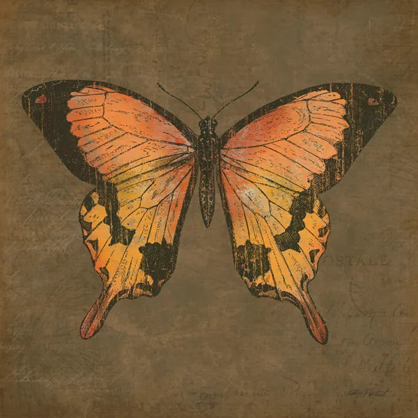 Mocha Butterfly by Katie Pertiet. SKU 5956a. Archival Giclee Fine art print for wall decor.