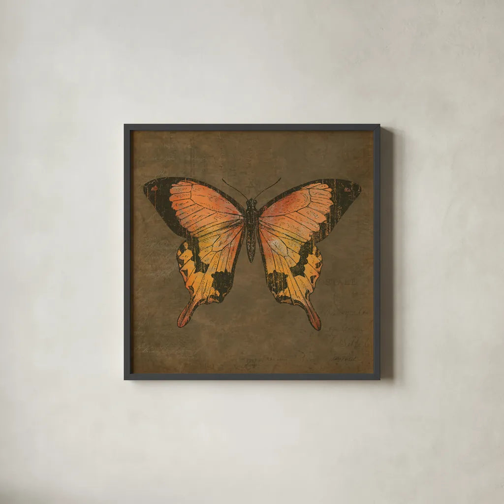 Mocha Butterfly by Katie Pertiet. Shown in a sleek black glass frame for a contemporary gallery look. Available as an archival giclee rolled canvas, fine art paper, or poster print. SKU 5956a.