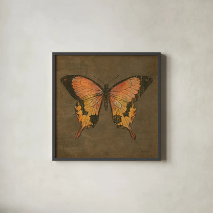 Mocha Butterfly by Katie Pertiet. Shown in a sleek black glass frame for a contemporary gallery look. Available as an archival giclee rolled canvas, fine art paper, or poster print. SKU 5956a.