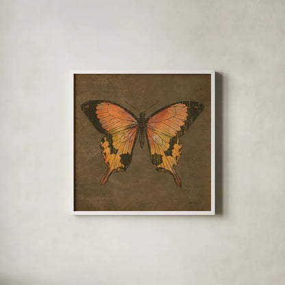 Mocha Butterfly by Katie Pertiet. Shown in a crisp white glass frame for a clean and minimalist style. Available as an archival giclee rolled canvas, fine art paper, or poster print. SKU 5956a.
