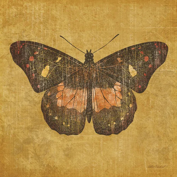 Ochre Butterfly by Katie Pertiet. SKU 5957a. Archival Giclee Fine art print for wall decor.
