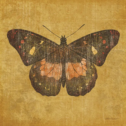 Ochre Butterfly by Katie Pertiet. SKU 5957a. Archival Giclee Fine art print for wall decor.