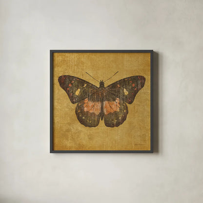 Ochre Butterfly by Katie Pertiet. Shown in a sleek black glass frame for a contemporary gallery look. Available as an archival giclee rolled canvas, fine art paper, or poster print. SKU 5957a.