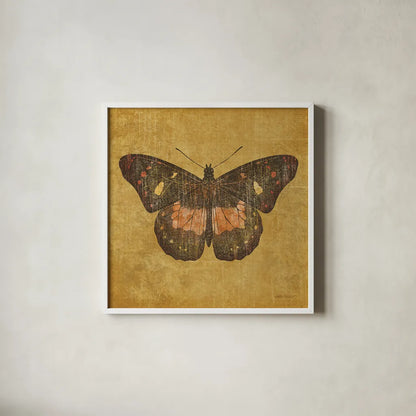 Ochre Butterfly by Katie Pertiet. Shown in a crisp white glass frame for a clean and minimalist style. Available as an archival giclee rolled canvas, fine art paper, or poster print. SKU 5957a.