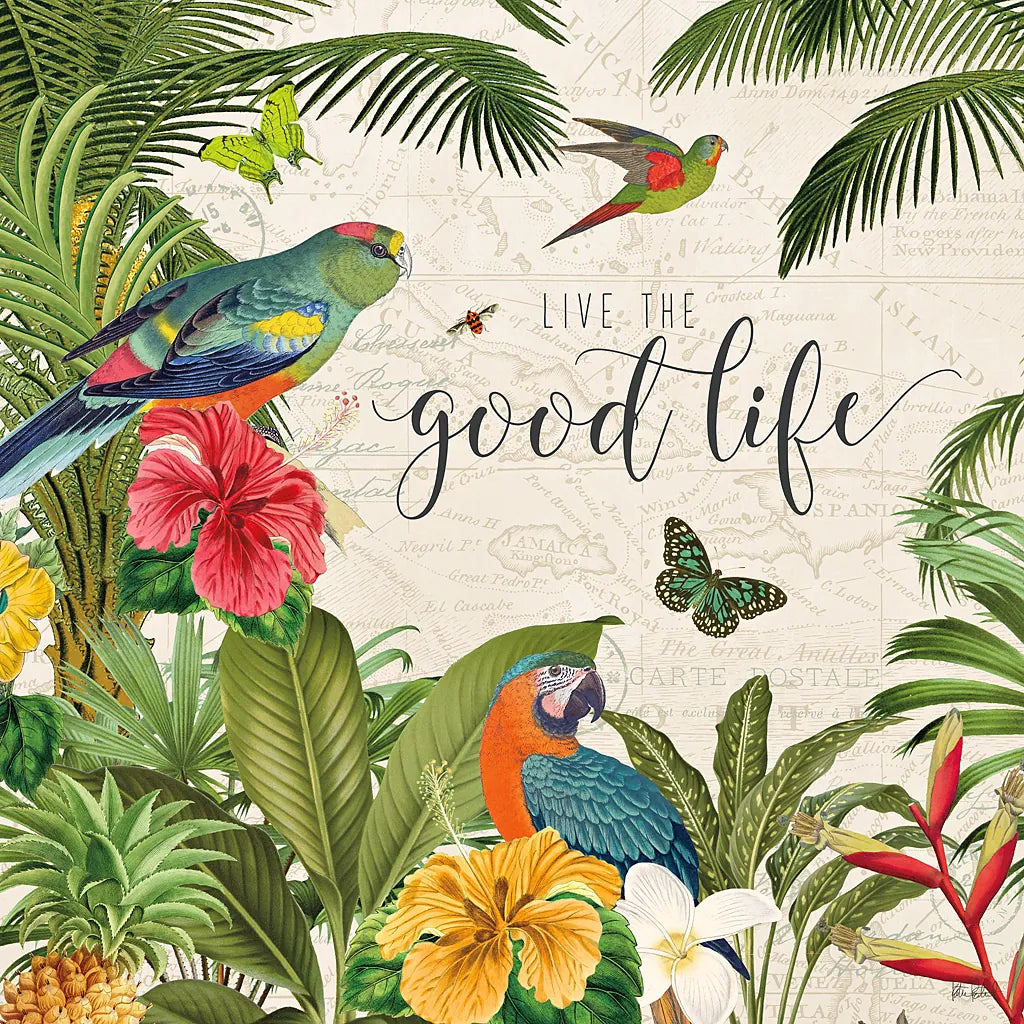 Parrot Paradise IV by Katie Pertiet. SKU 42063a. Archival Giclee Fine art print for wall decor.