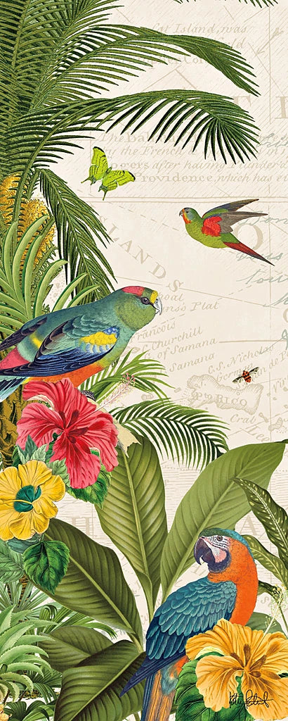 Parrot Paradise VI by Katie Pertiet