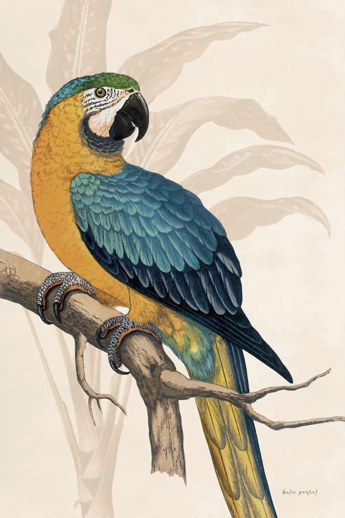 Parrot Paradise on Cream II by Katie Pertiet
