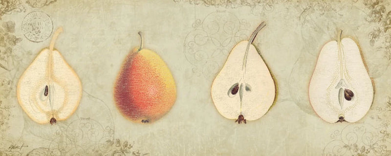 Pear Quartet by Katie Pertiet