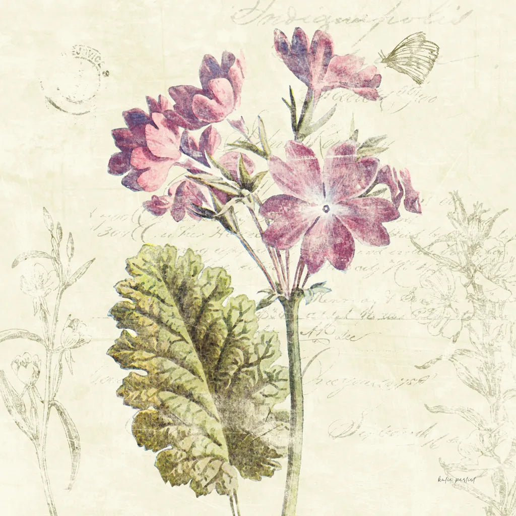 Primrose Square by Katie Pertiet. SKU 5985a. Archival Giclee Fine art print for wall decor.