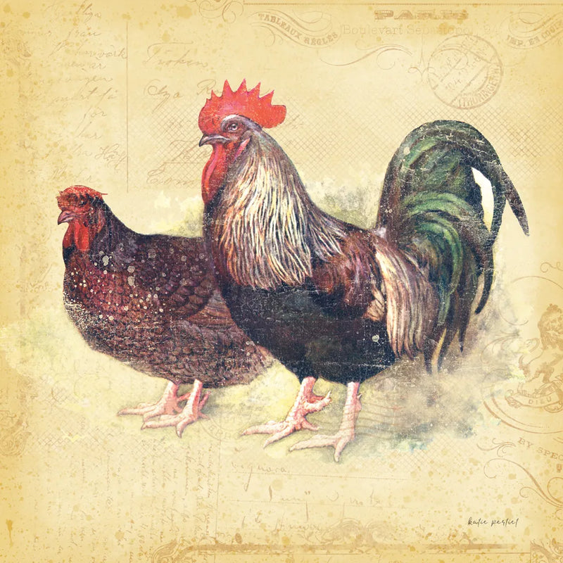 Rooster I by Katie Pertiet. SKU 29527a. Archival Giclee Fine art print for wall decor.