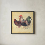 Rooster I by Katie Pertiet. Shown in a sleek black glass frame for a contemporary gallery look. Available as an archival giclee rolled canvas, fine art paper, or poster print. SKU 29527a.