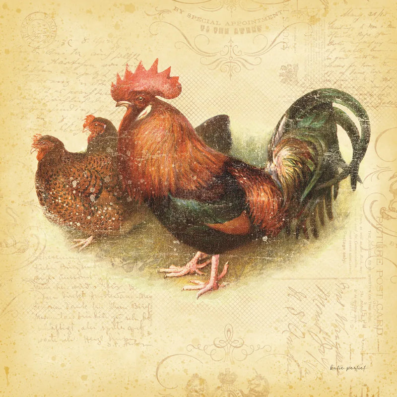 Rooster II by Katie Pertiet. SKU 29526a. Archival Giclee Fine art print for wall decor.
