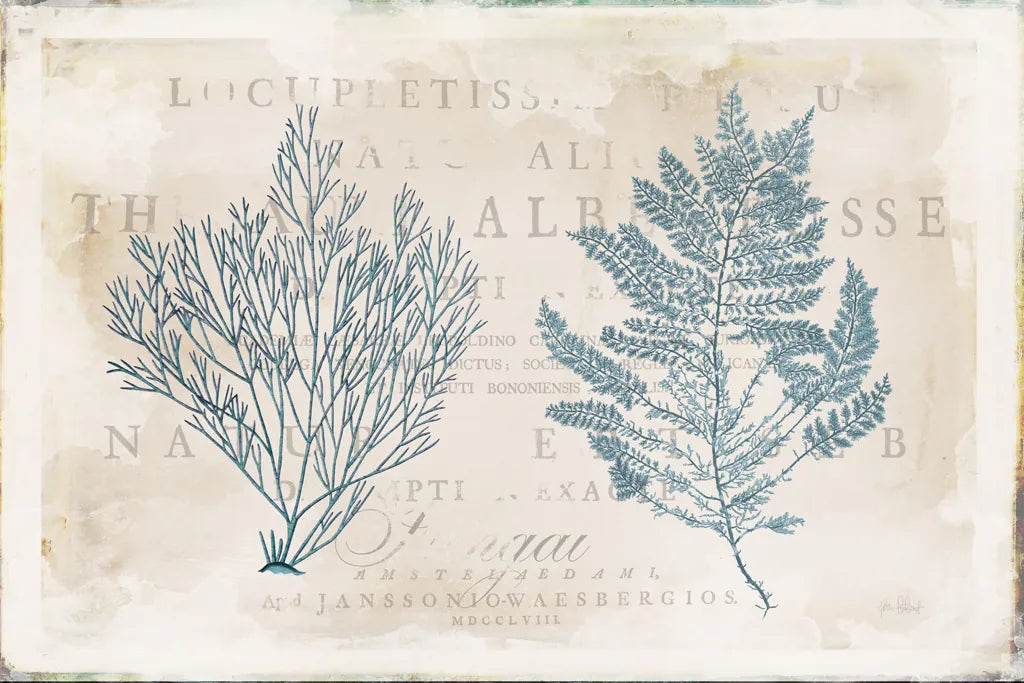 Sea Garden I by Katie Pertiet. SKU 29062i. Archival Giclee Fine art print for wall decor.