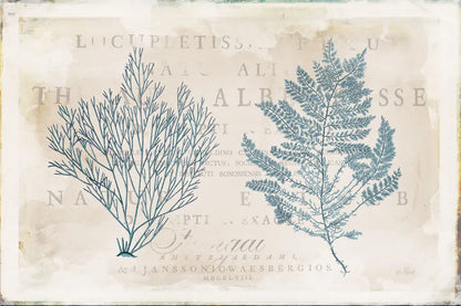 Sea Garden I by Katie Pertiet. SKU 29062i. Archival Giclee Fine art print for wall decor.