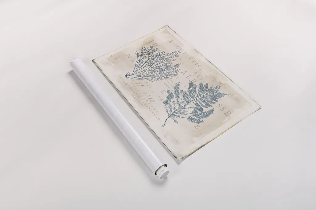 Sea Garden I by Katie Pertiet. shown as a rolled paper print. Available as archival giclee rolled canvas, fine art paper, or poster print. SKU 29062i.