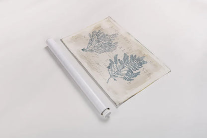 Sea Garden I by Katie Pertiet. shown as a rolled paper print. Available as archival giclee rolled canvas, fine art paper, or poster print. SKU 29062i.