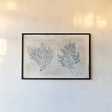 Sea Garden I by Katie Pertiet. shown as a paper print in a black flame. Available as a archival giclee rolled canvas, fine art paper, or poster print. SKU 29062i.