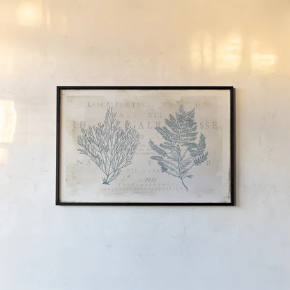 Sea Garden I by Katie Pertiet. shown as a paper print in a black flame. Available as a archival giclee rolled canvas, fine art paper, or poster print. SKU 29062i.