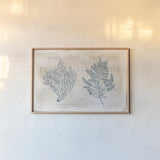 Sea Garden I by Katie Pertiet. shown as a paper print in a natural frame. Available as a archival giclee rolled canvas, fine art paper, or poster print. SKU 29062i.