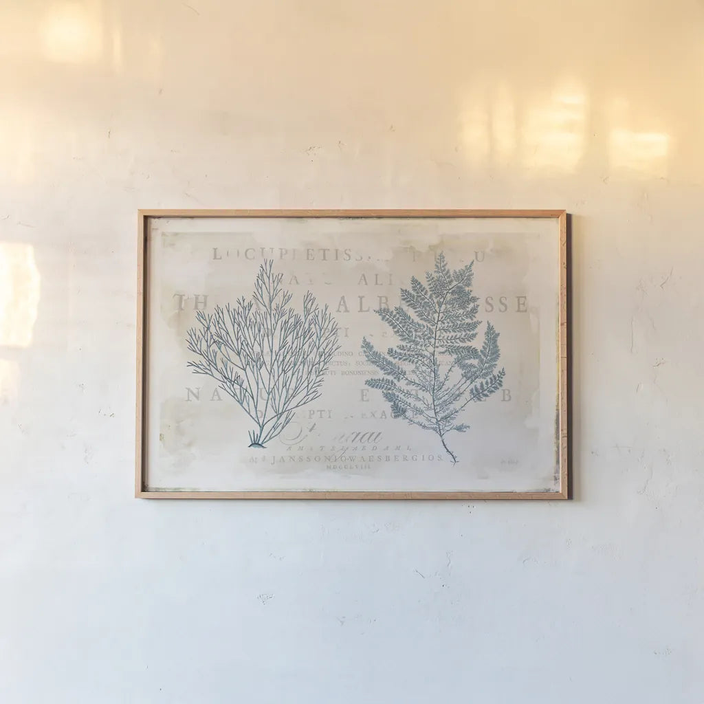 Sea Garden I by Katie Pertiet. shown as a paper print in a natural frame. Available as a archival giclee rolled canvas, fine art paper, or poster print. SKU 29062i.