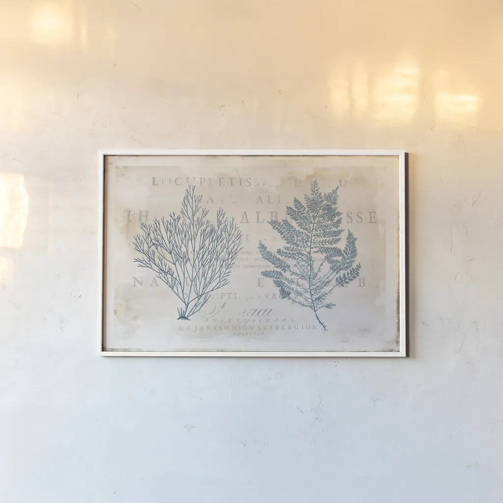 Sea Garden I by Katie Pertiet. shown as a paper print in a white frame. Available as a archival giclee rolled canvas, fine art paper, or poster print. SKU 29062i.