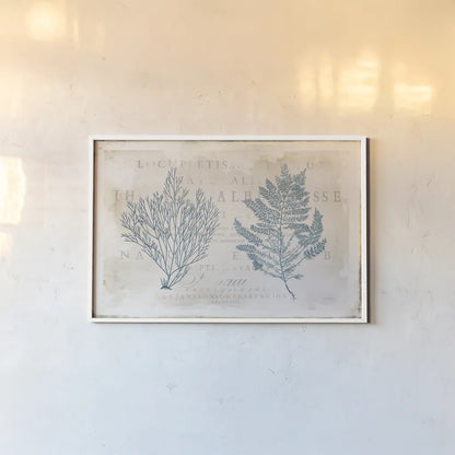 Sea Garden I by Katie Pertiet. shown as a paper print in a white frame. Available as a archival giclee rolled canvas, fine art paper, or poster print. SKU 29062i.