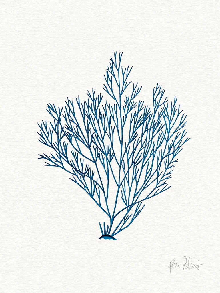 Sea Garden II Royal Blue by Katie Pertiet
