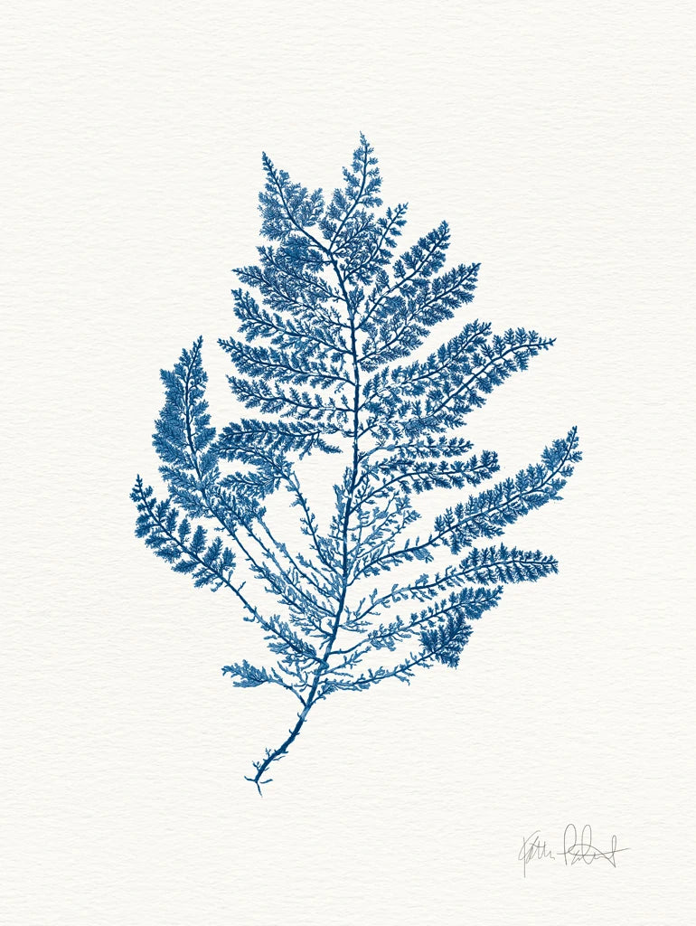 Sea Garden III Royal Blue by Katie Pertiet