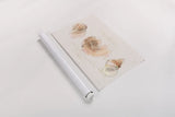Shell Collector I by Katie Pertiet. shown as a rolled paper print. Available as archival giclee rolled canvas, fine art paper, or poster print. SKU 29926i.