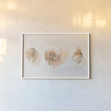 Shell Collector I by Katie Pertiet. shown as a paper print in a white frame. Available as a archival giclee rolled canvas, fine art paper, or poster print. SKU 29926i.
